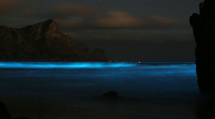 Где можно увидеть светящийся пляж: 12 мест в мире, которые подарят вам незабываемое зрелище