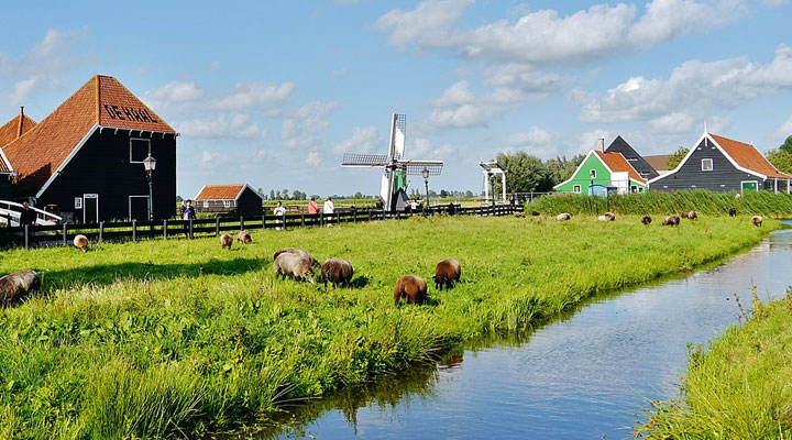Зансе-Сханс: уникальный музей под открытым небом в самом сердце Голландии