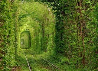 Куда поехать из Львова: 15 лучших идей для поездки одного дня