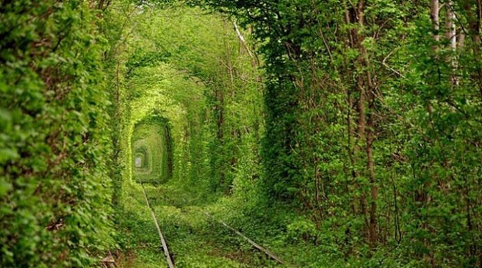 Куда поехать из Львова: 15 лучших идей для поездки одного дня