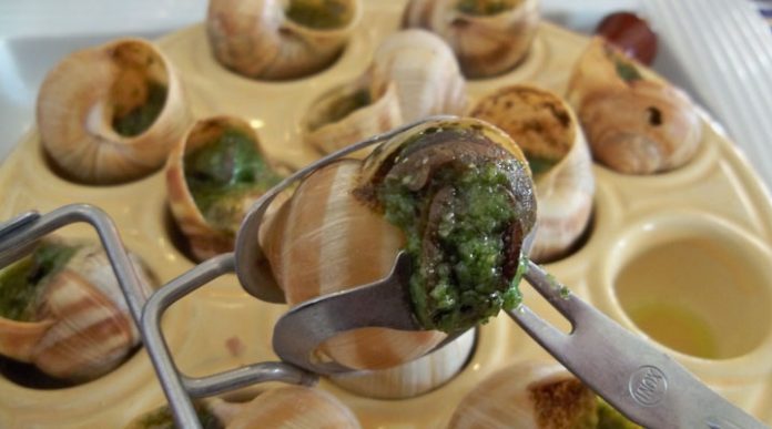 Самые отвратительные традиционные блюда мира: мерзкая десятка