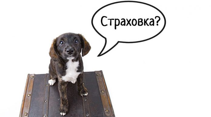 Туристическая страховка: как правильно выбрать и пользоваться — просто о важных нюансах