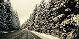 Путешествие автобусом: какие есть плюсы и минусы?