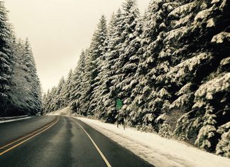 Путешествие автобусом: какие есть плюсы и минусы?