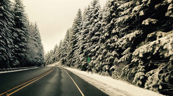 Путешествие автобусом: какие есть плюсы и минусы?