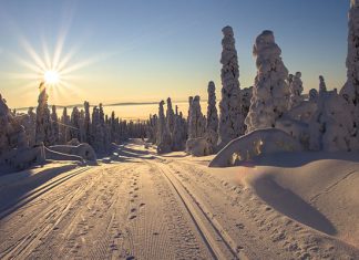 Зимние курорты Финляндии: 10 лучших мест отдыха в удивительной стране