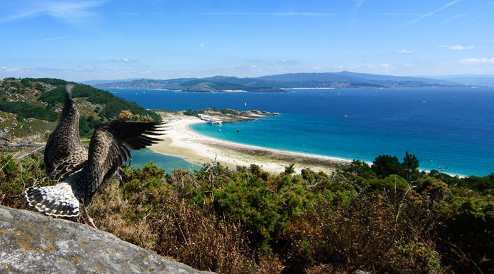 Острова Испании: 8 экзотических мест, которые стоит увидеть