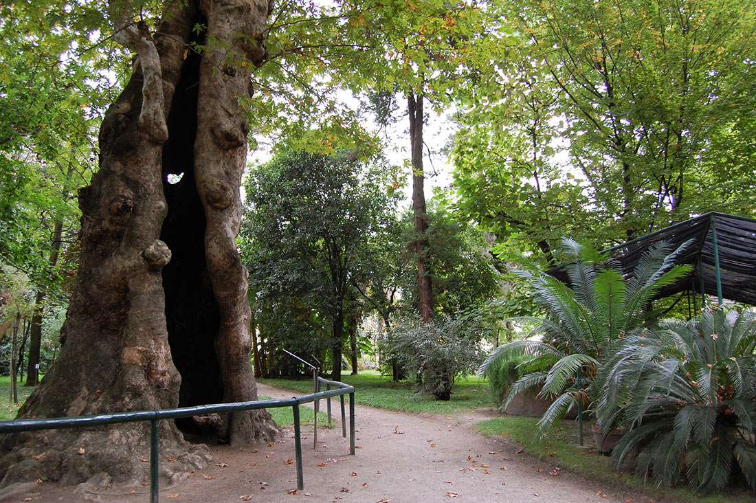 Ботанический сад Падуи
