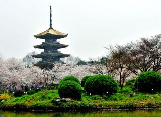 Достопримечательности Ухани: то, что мы не знали об одном из самых интересных городов Китая