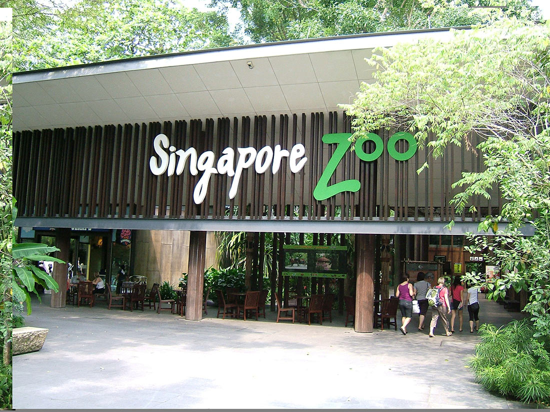 Сингапурский зоопарк