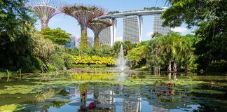 Достопримечательности Сингапура: что посмотреть в столице азиатского экономического чуда