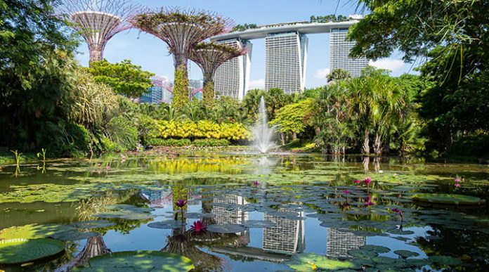 Достопримечательности Сингапура: что посмотреть в столице азиатского экономического чуда