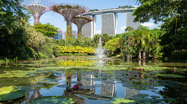 Достопримечательности Сингапура: что посмотреть в столице азиатского экономического чуда